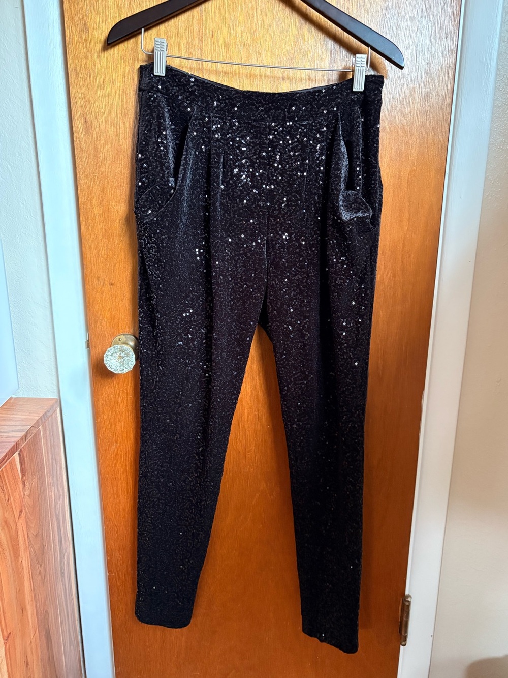 Zara Black Sequined Velvet Pants